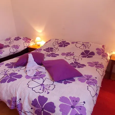 Ferienhaus House Andro Bibinje
