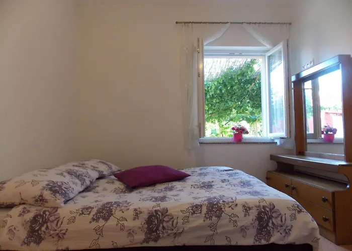 House Andro Nyaraló